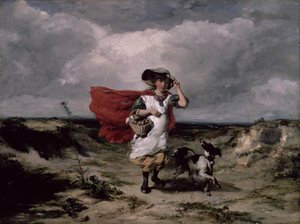 De heide oversteken, winderige dag