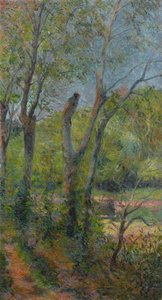Frans:  Les Saules Willows door Paul Gauguin