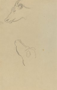 Hoofd van een Koe door Paul Gauguin