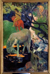 Het witte paard door Paul Gauguin