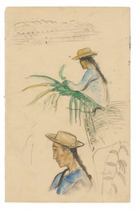 Schetsen van figuren, pandanusblad en vanilleplant door Paul Gauguin