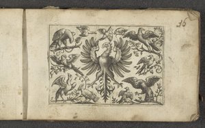 Roofvogel en elf andere vogels door Paul Göttich