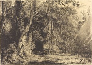 Overstroming in het Bos van het Île Séguin