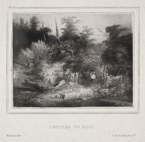 Landschappen: De ingang van een bos