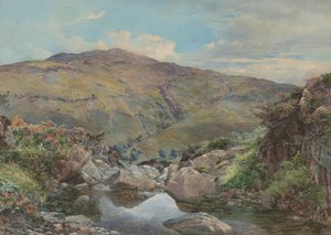 Hoofd van Loch Lomond, met Ben Lomond in de verte