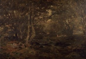 Door het Bos, Pont-y-Gytyn, Noord-Wales