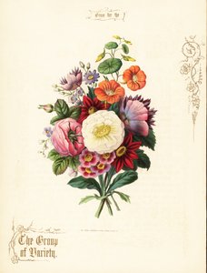 Boeket van witte roos, dahlia, Oost-Indische kers, aurikel