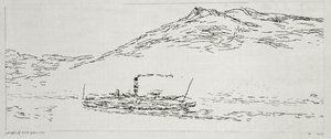 Stoomboot op de Thunersee