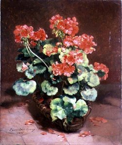 Bloemen in een Mand