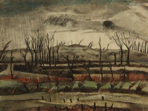 Desolaat landschap, Ypres Salient