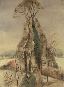 Iver Heath in de sneeuw