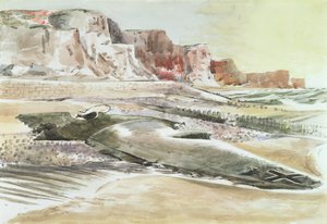 De rover aan de kust