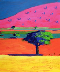 Roze Heuvel door Paul Powis