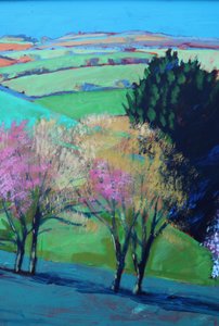 Teme Valley bloesem close-up 2 door Paul Powis
