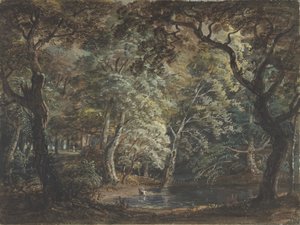 Windsor Great Park, 1790-99 door Paul Sandby