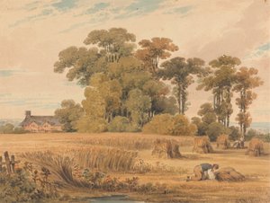 Een Korenveld door Paul Sandby Munn