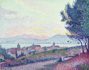 Saint Tropez - Pijnboombos