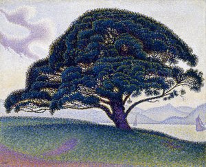  door Paul Signac