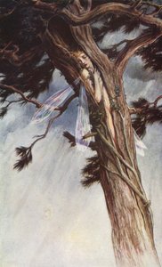 De Storm door William Shakespeare, Act I, Scene 2 door Paul Vincent Woodroffe