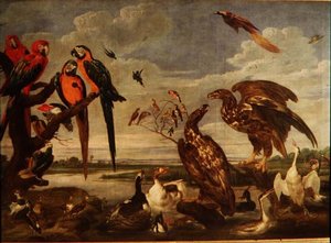 Verscheidenheid aan vogels