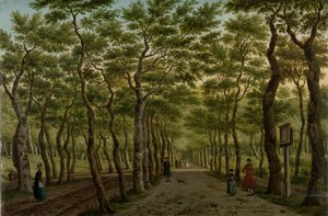 Het Herepad in het Haagse Bos