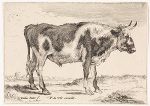Gevlekte os door Paulus Potter (rejected attribution)