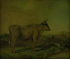 Een koe