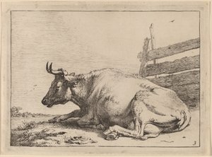 Liggende Koe bij een Hek door Paulus Potter