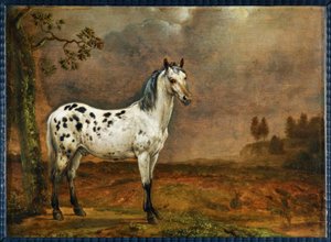 Het gevlekte paard