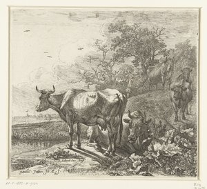 De veehoeder door Paulus Potter