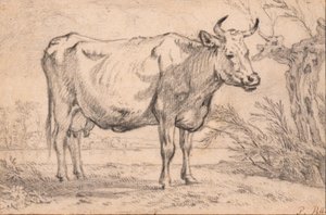  door Paulus Potter