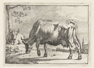 Grazende koe Het Bullenboekje (serie titel) door Paulus Potter