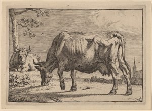 Grazende Koe door Paulus Potter