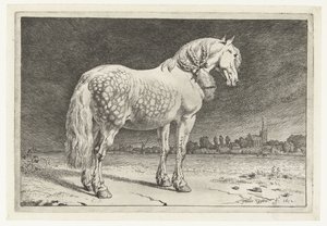 Het Friese paard door Paulus Potter