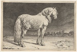 Het Friese paard door Paulus Potter