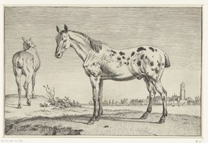 Het gecoupeerde paard