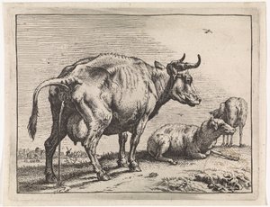 Pissende koe Het Bullenboekje (series title) door Paulus Potter