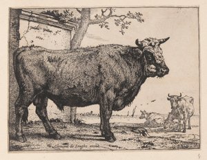 De stier, van verschillende ossen en koeien door Paulus Potter