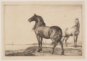 Het gecoupeerde paard, uit de serie paarden door Paulus Potter