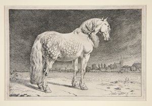 Het Friese Paard door Paulus Potter