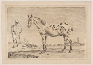 Het hinnikende paard, uit Serie paarden door Paulus Potter
