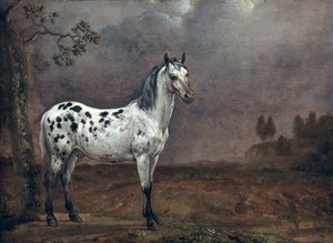 Het Bonte Paard
