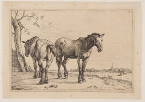 Het Ploegpaard, uit Serie Paarden door Paulus Potter