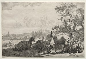 De herder