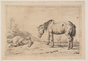 Het versleten paard, (La Mazette), uit Serie paarden door Paulus Potter