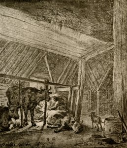 De kalvende koe