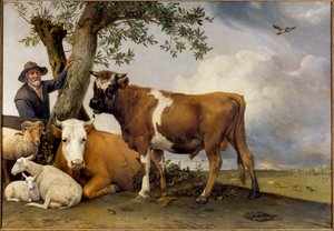 De jonge stier door Paulus Potter