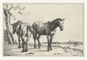 Twee ploegpaarden door Paulus Potter
