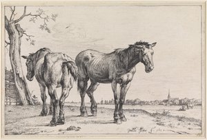  door Paulus Potter