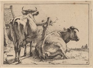 Twee Koeien van Achteren Gezien door Paulus Potter